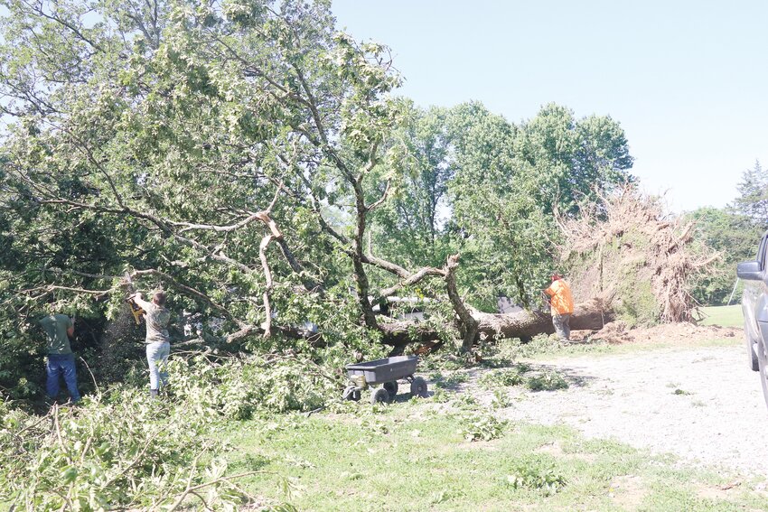 Keith Streeval works to cut up a tree that was struck by lightening during Friday night's storms.