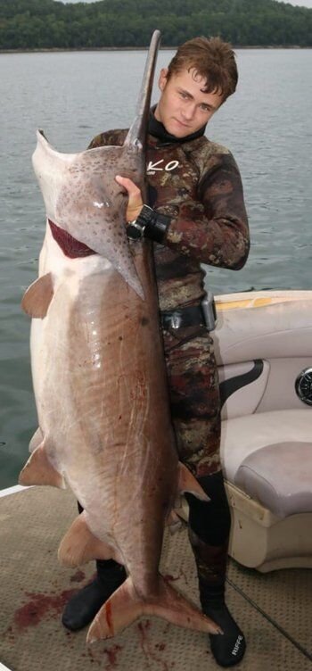 Chris Cantrell of Berryville, recently managed to land this 90-plus pound paddlefish, using spearfishing tackle early one morning at Beaver Lake. It&rsquo;s possibly a world-record holder.   Photo courtesy of Arkansas Game and Fish Commission