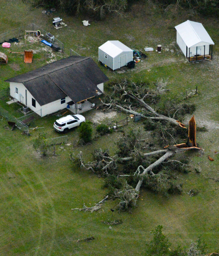 A large split tree is seen in Dowling Park, Fla., fallen next to a residence on Thursday, Aug 31, 2023, following Hurricane Idalia’s landfall in Keaton Beach, Fla., Wednesday morning. (Caleb Ross/WUFT News)