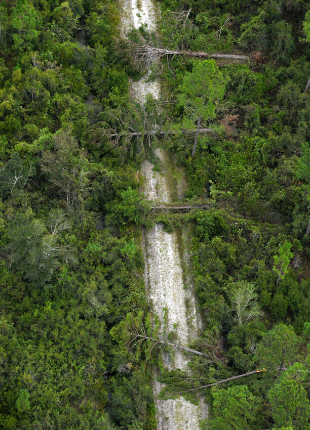 Multiple fallen trees are seen near Dowling Park, Fla., on Thursday, Aug 31, 2023, following Hurricane Idalia’s landfall in Keaton Beach, Fla., Wednesday morning. (Caleb Ross/WUFT News)