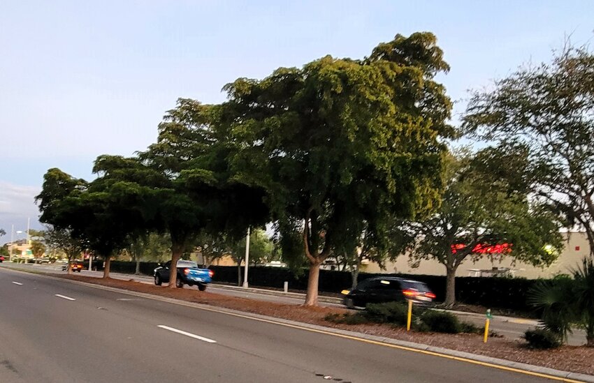 Median located between 67th Street West and Village Green Parkway