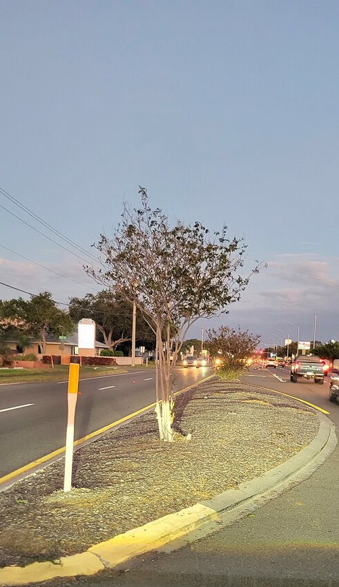 Median located between 63rd Street West and 67th Street West