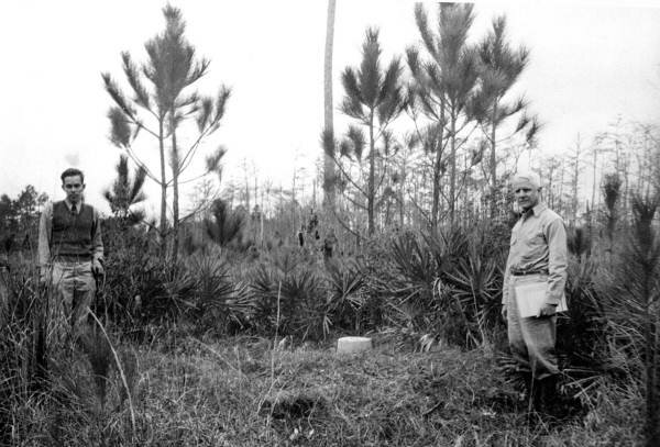 Two men stand near Ellicott's Mound in Okefenokee Swamp circa 1945