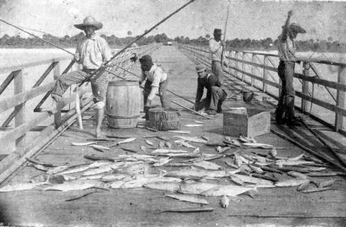 Men fishing on the original wooden Cortez Bridge circa 1920s. 