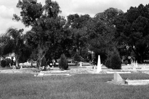 Old Miakka Cemetary. 