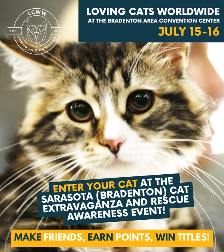 MA - Boston Cat Extravaganza & Rescue Awareness Event by Loving Cats  Worldwide — LCWW