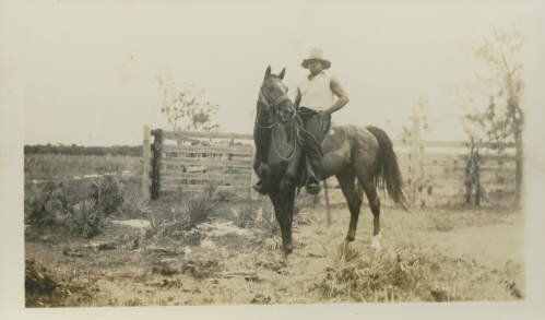 Archie Rutledge, a well-known African American cowhunter in Manatee County, sits atop a stallion circa 1940.