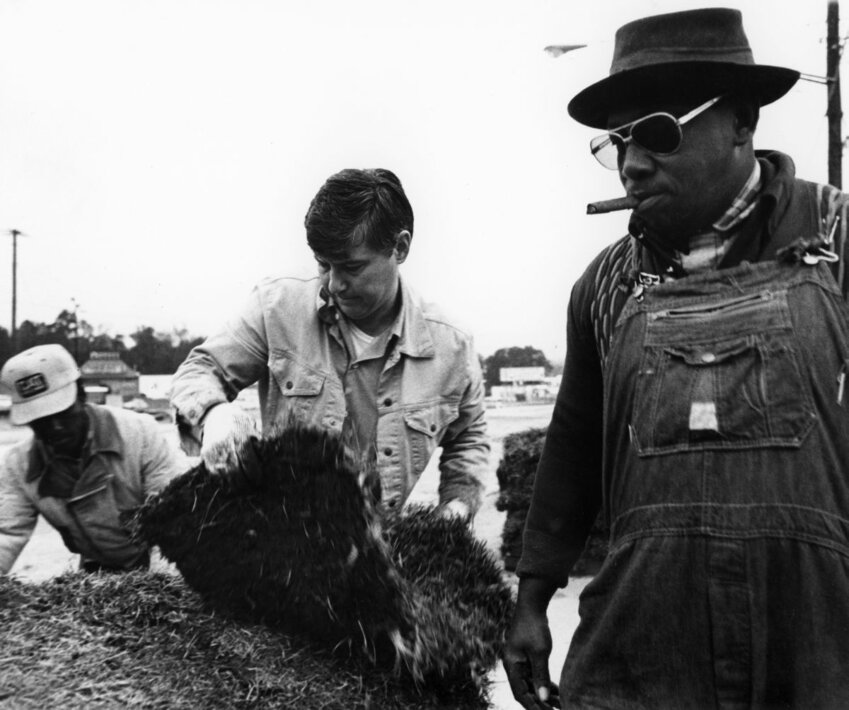 Bob Graham on his first workday after being elected governor handles sod for a Tallahassee road project, working eight hours in a light rain. Florida State Archives; photographed on Jan. 27, 1979.