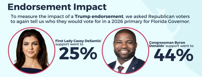 Graphic from James Madison Institute poll