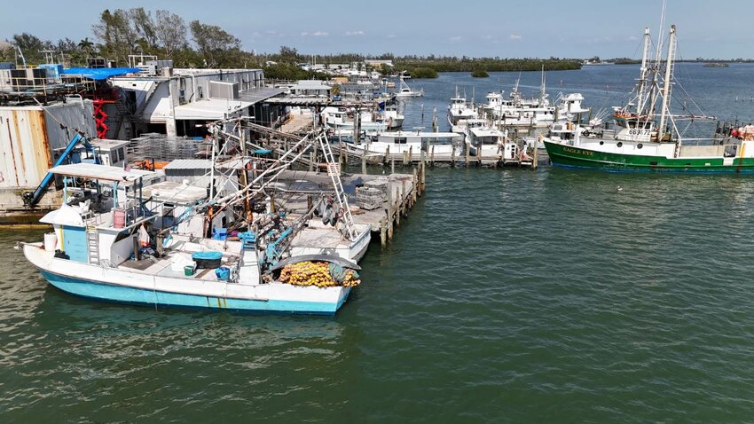 Fishing boats docked in Cortez on a sunny May afternoon. | Photo by Michael Barfield for Suncoast Searchlight
