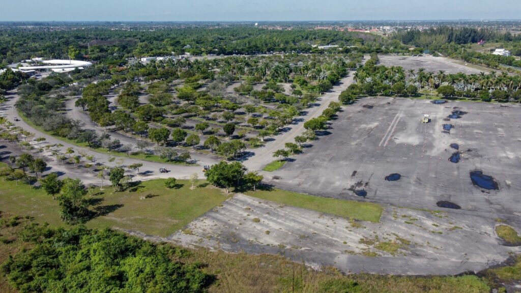 Bat experts say this tree-fringed parking area by Zoo Miami, where Miami Wilds is supposed to be built, is crucial for the survival of the endangered Florida bonneted bat.
