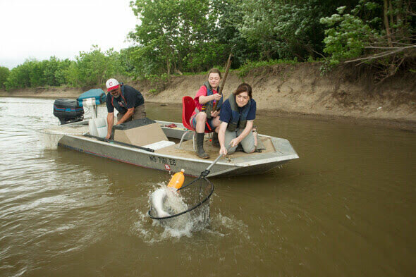 MDC will offer a free workshop on using alternative methods to catch catfish Aug. 3-4 at Truman Lake.