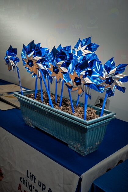 The bright blue pinwheels were planted around Caroline County to demonstrate support for National Child Abuse Prevention Month.