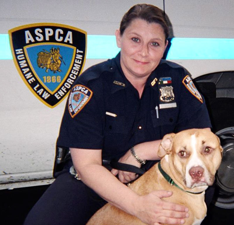 LIFE LOST TO JOB: Diane DiGiacomo, a Special Agent with the ASPCA who after 9/11 took on the role of finding pets lost or left behind in the wake of the destruction from the terrorist attack, died of breast cancer contracted by breathing in the toxic dust that many of those animals were covered in.