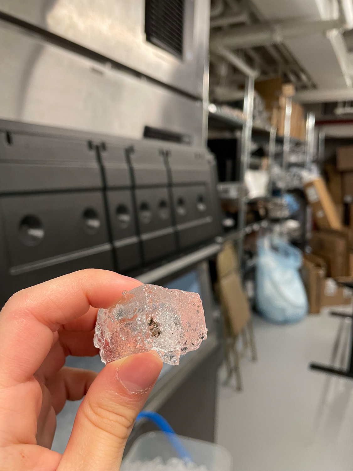 A Starbucks worker recently held up what the barista said was ice dotted with mold taken from a machine at the Meatpacking District Reserve Roastery. A recent inspection report makes no note of “mold like residues” that inspectors found in the roastery’s ice machines during an initial inspection Nov. 9.