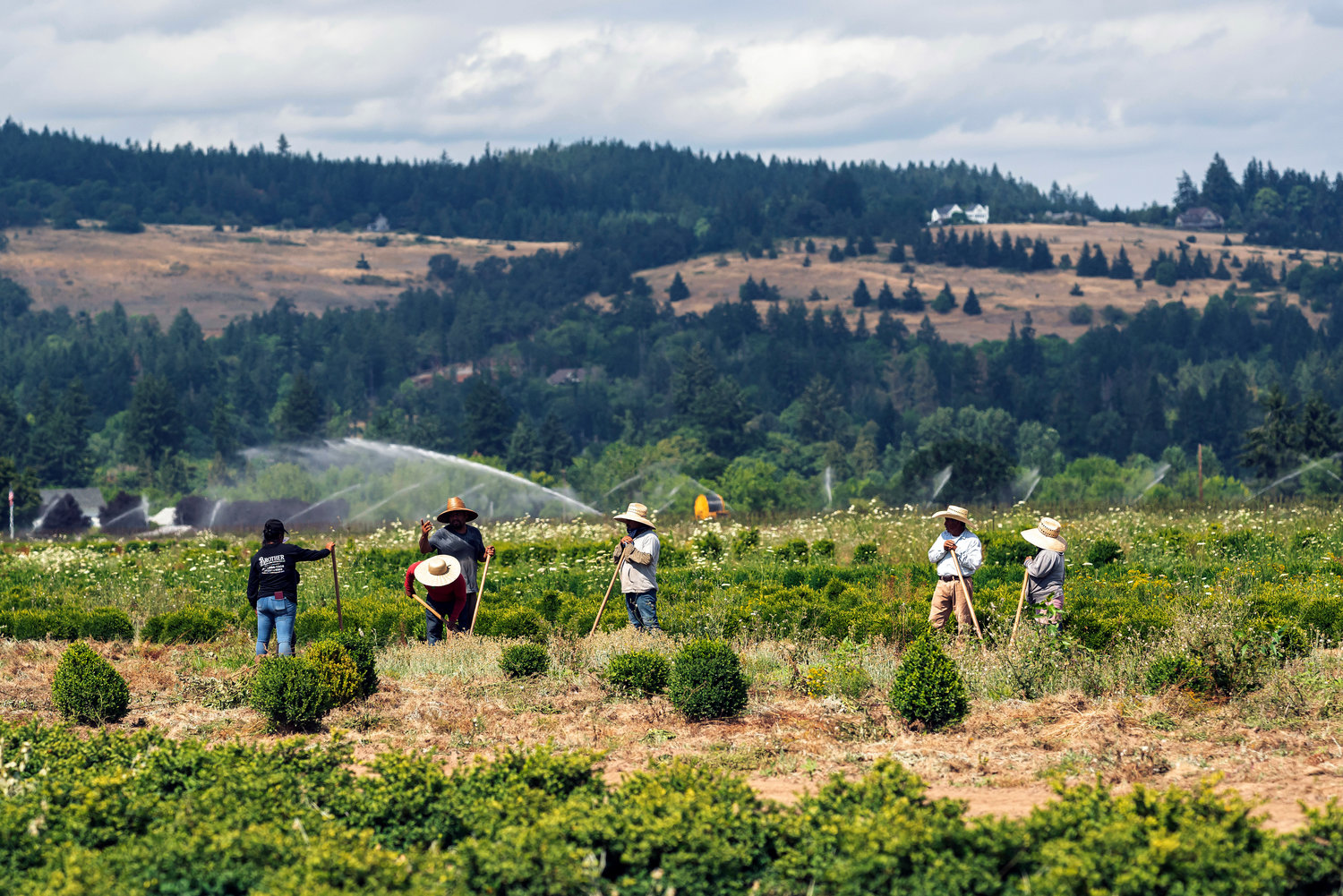 Farmworkers in Oregon took a break from tilling soil during a summer 2021 heat wave. The U.S Department of Homeland Security recently announced a policy that will grant undocumented migrant workers greater protection against deportation when they report labor right violations.