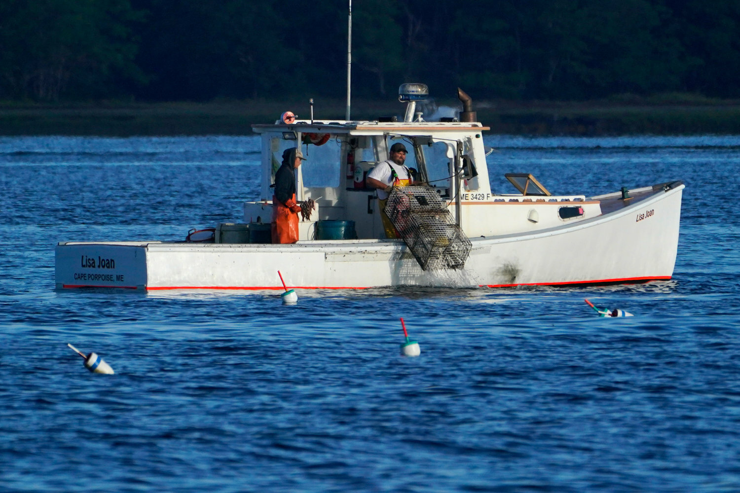 A lobster fisherman hauled a trap last September off of Kennebunkport, Maine. A group of Maine businesses and trade groups filed a lawsuit against a California aquarium this week for recommending seafood customers avoid buying lobster.