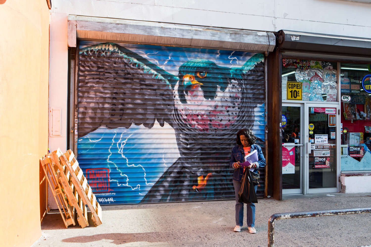 A mural of a Peregrine Falcon on St. Nicholas Avenue in Harlem, part of the Audubon Mural Project, a collaboration between the National Audubon Society and Gitler &_____ Gallery, highlighting climate-threatened birds. Earlier this year, the board of New York City chapter of the National Audubon Society voted to change its name, citing John James Audubon’s slave-holding history. The national society has resisted efforts to change its name.