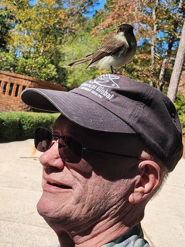 The bird perches on Wesley Jones' baseball cap.