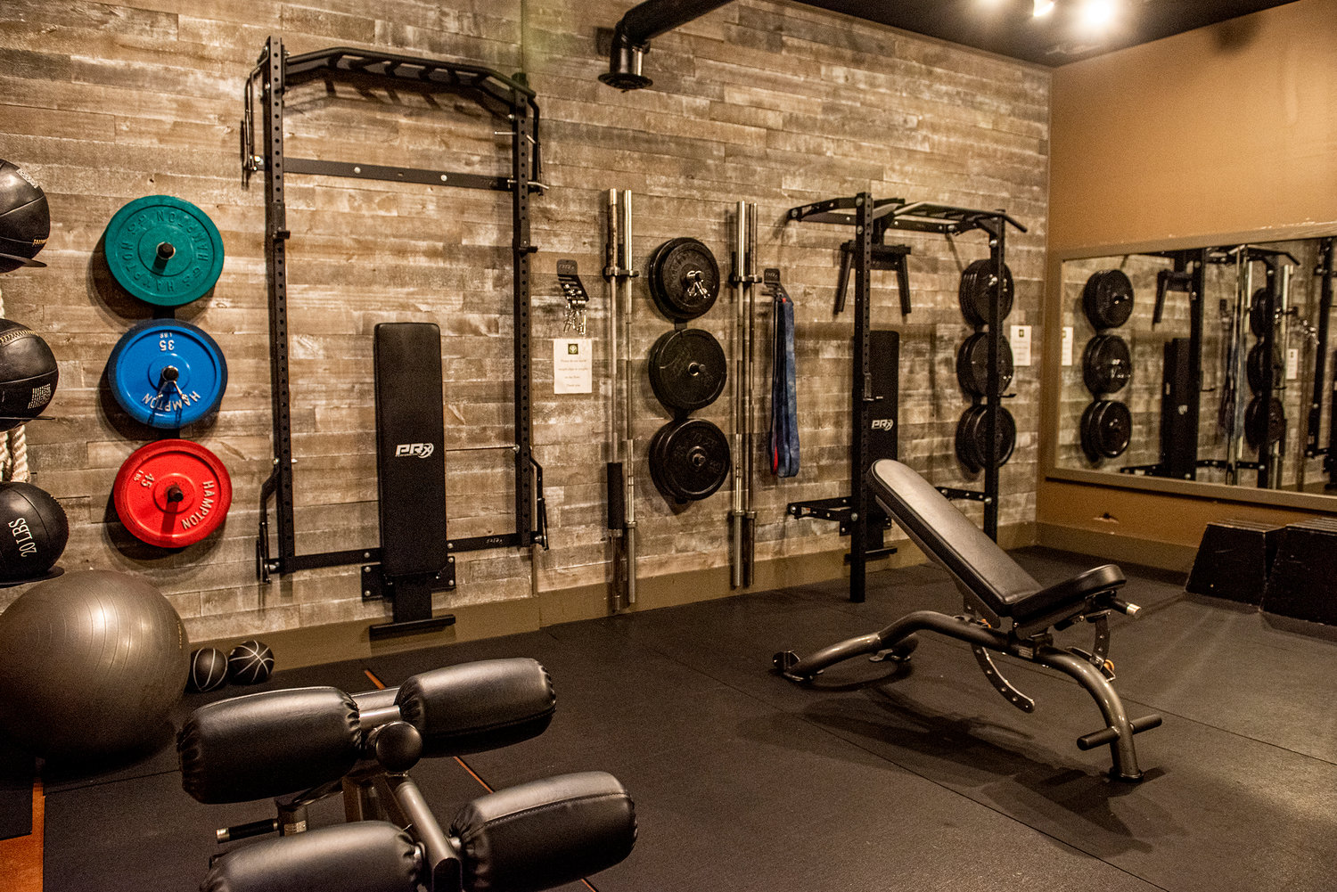 The weight room at Elevo Dynamics on Person Street.