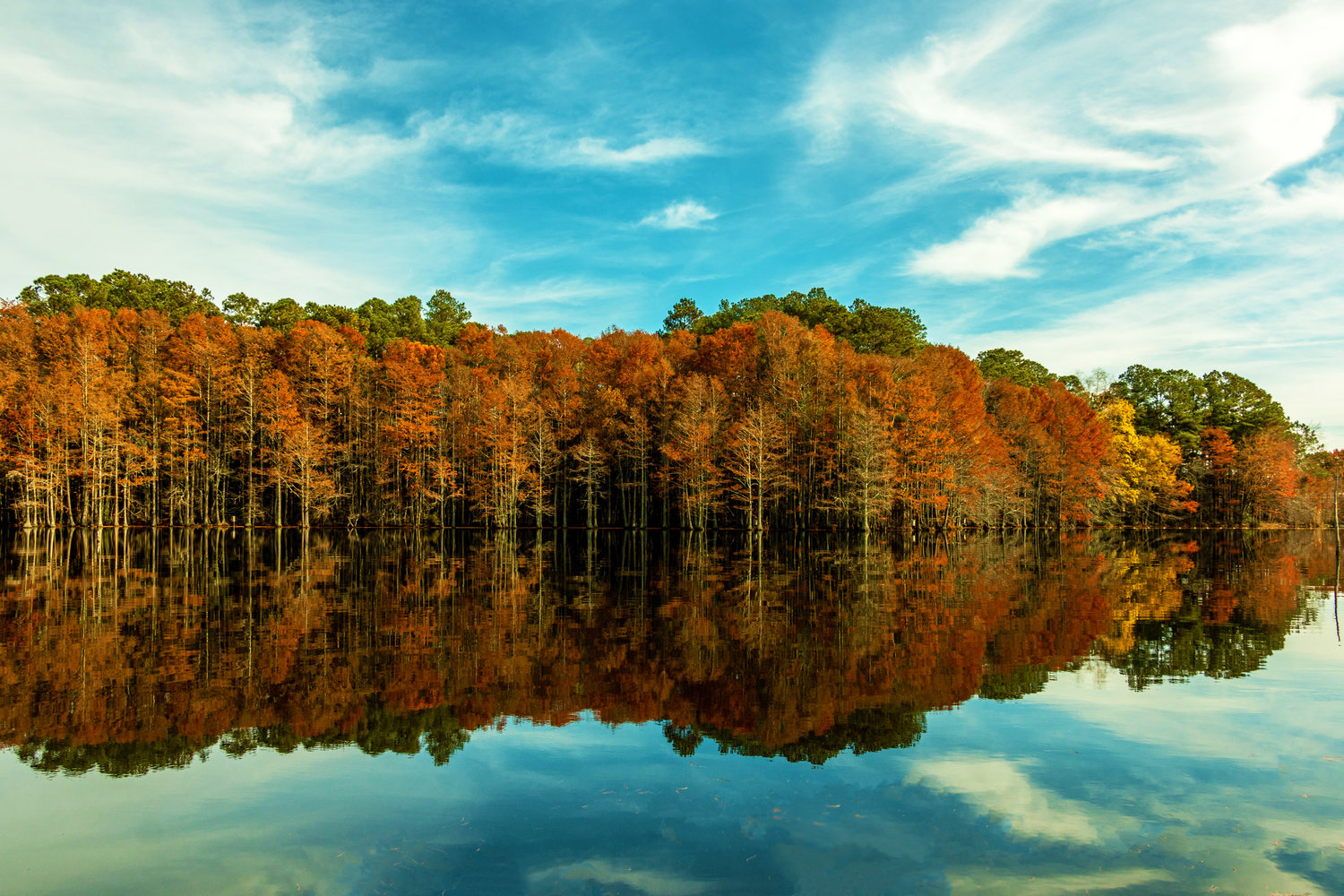 This peaceful setting shows Glenville Lake at Mazarick Park during peak foliage season.