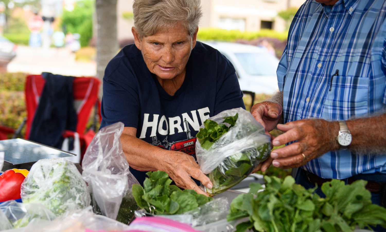 Joyce Horne bags lettuce at the Horne Homestead produce stand at City Market at the Museum.