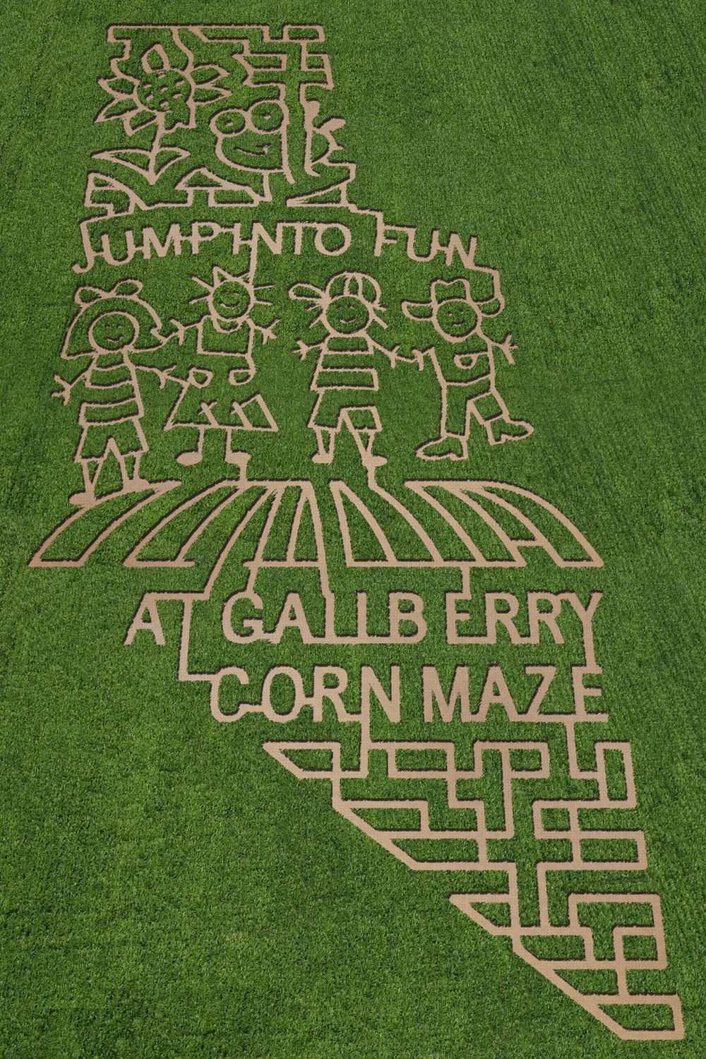 Gallberry Corn Maze