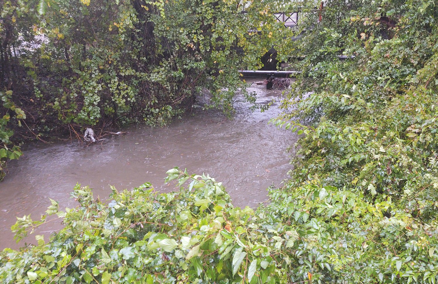 A swift current runs through Cross Creek near Festival Park in downtown Fayetteville just before 5 p.m. Friday as the remnants of Hurricane Ian passed through the region.