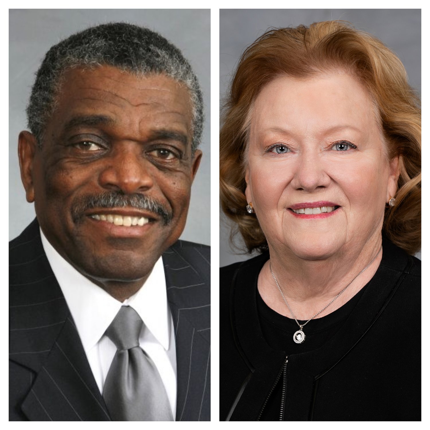 Democrat Elmer Floyd and Republican Diane Wheatley are vying for the N.C. House District 43 seat.