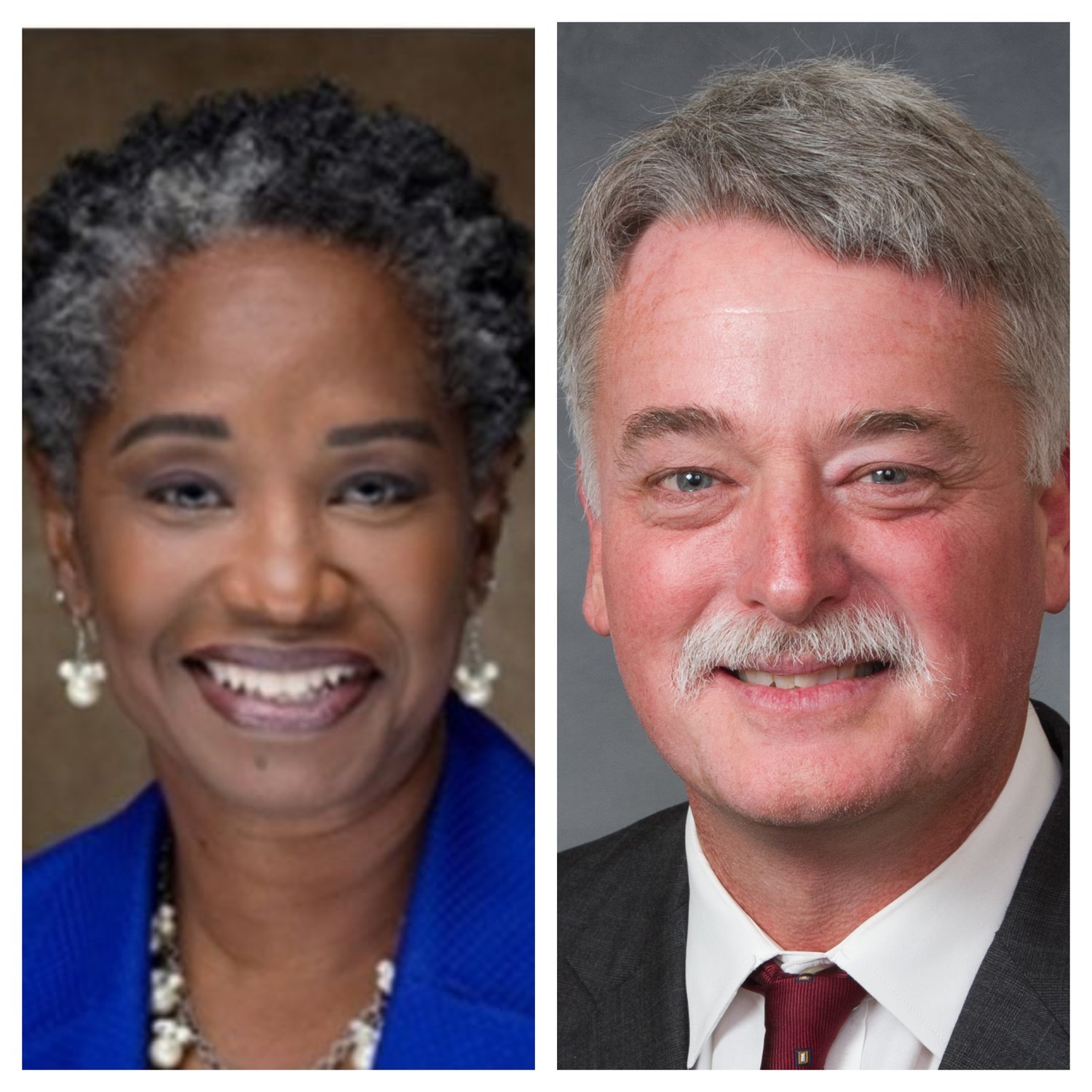 Democrat Val Applewhite and Republican Wesley Meredith are competing for the N.C. Senate District 19 seat.