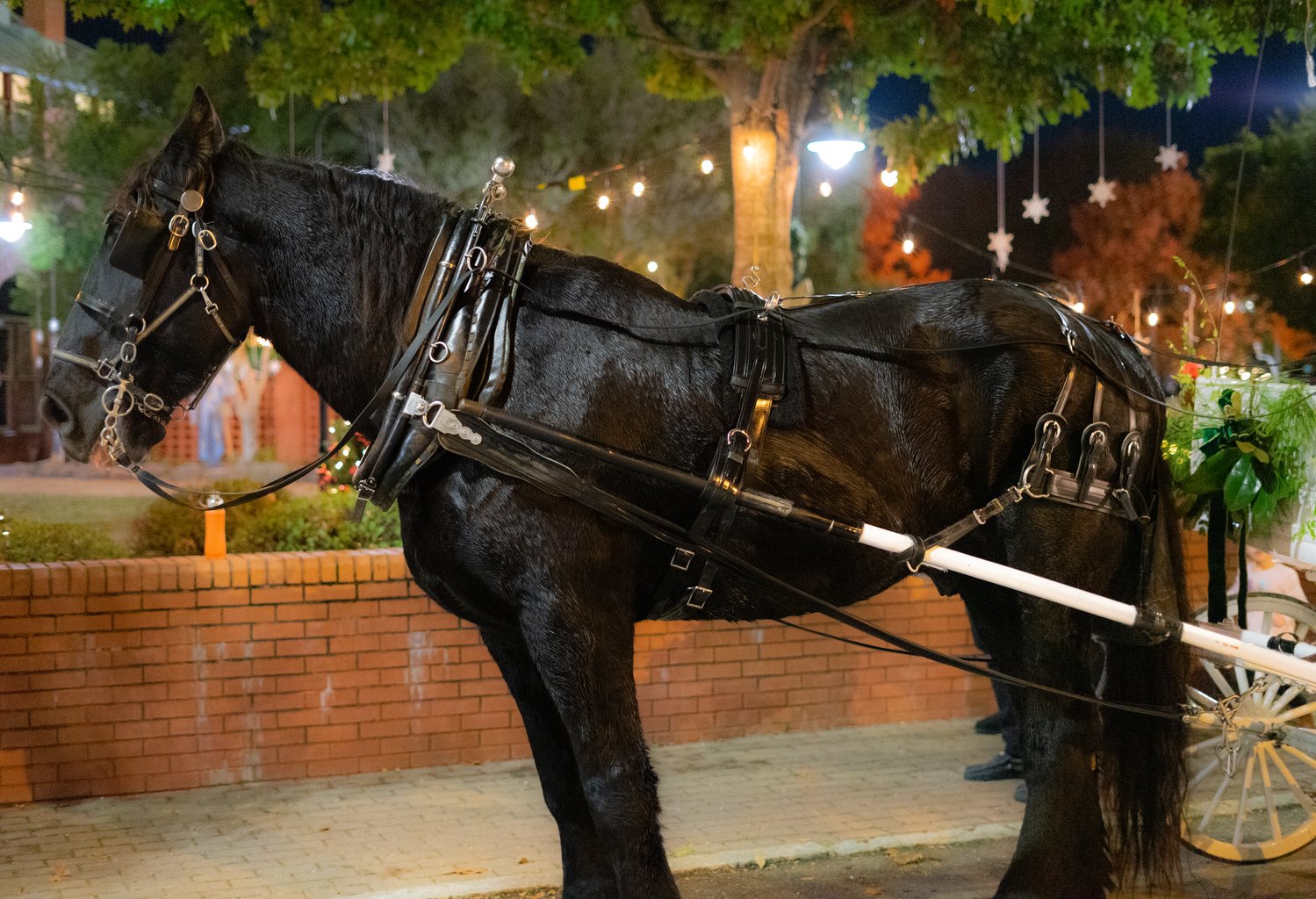 The 23rd annual A Dickens Holiday & Carriage Rides, hosted by the Downtown Alliance, was held on  Nov. 25 at the Fayetteville History Museum.