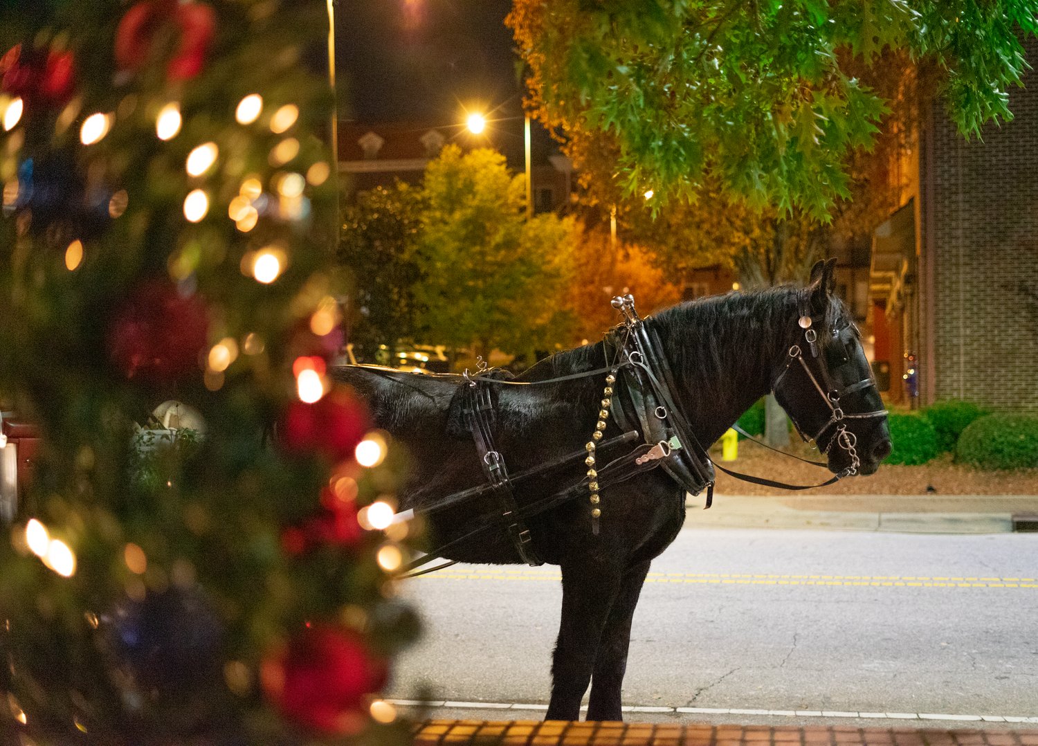 The 23rd annual A Dickens Holiday & Carriage Rides, hosted by the Downtown Alliance, was held on  Nov. 25 at the Fayetteville History Museum.