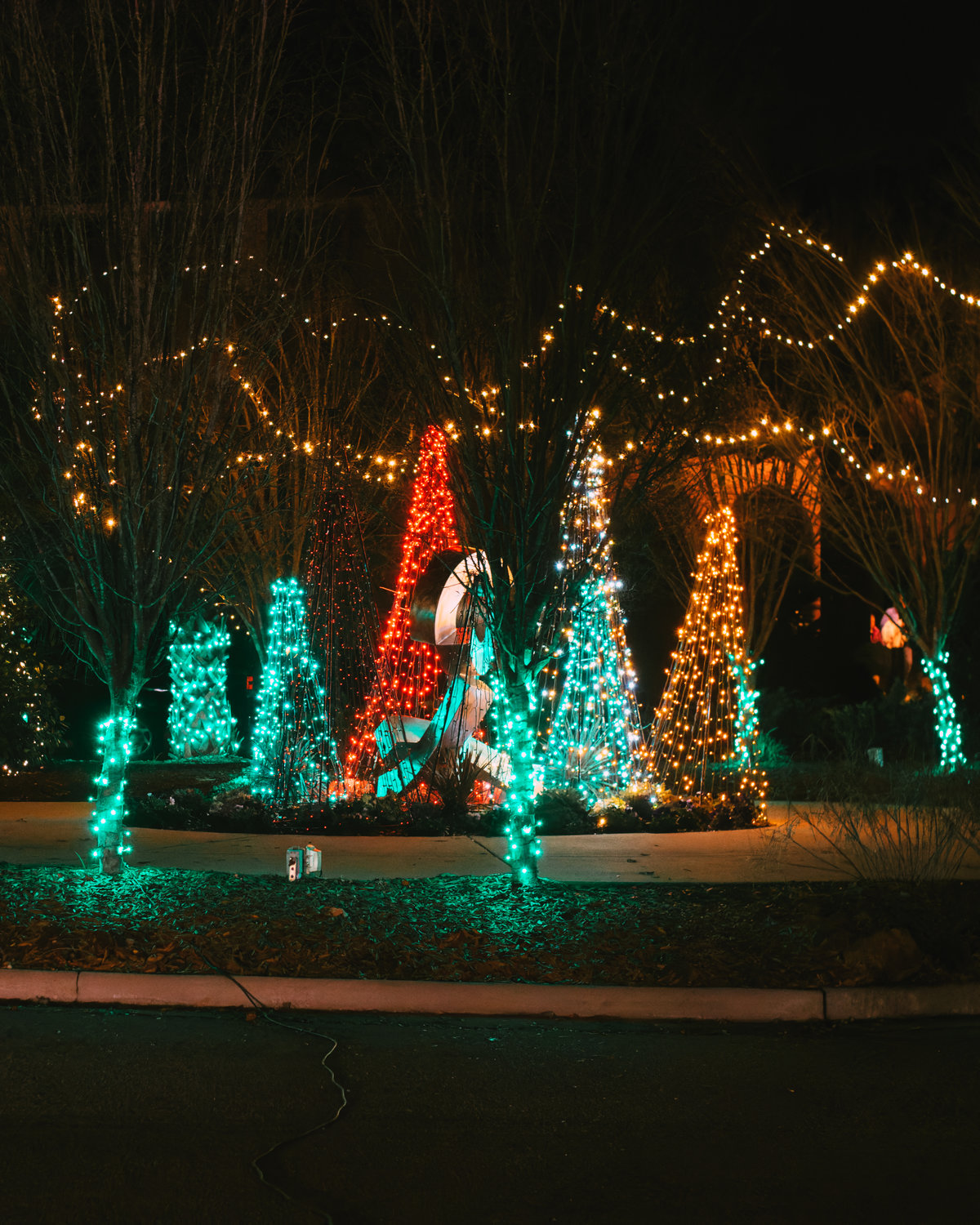 Cape Fear Botanical Garden presented its Holiday Lights in the Garden on select nights from Dec. 1-22.