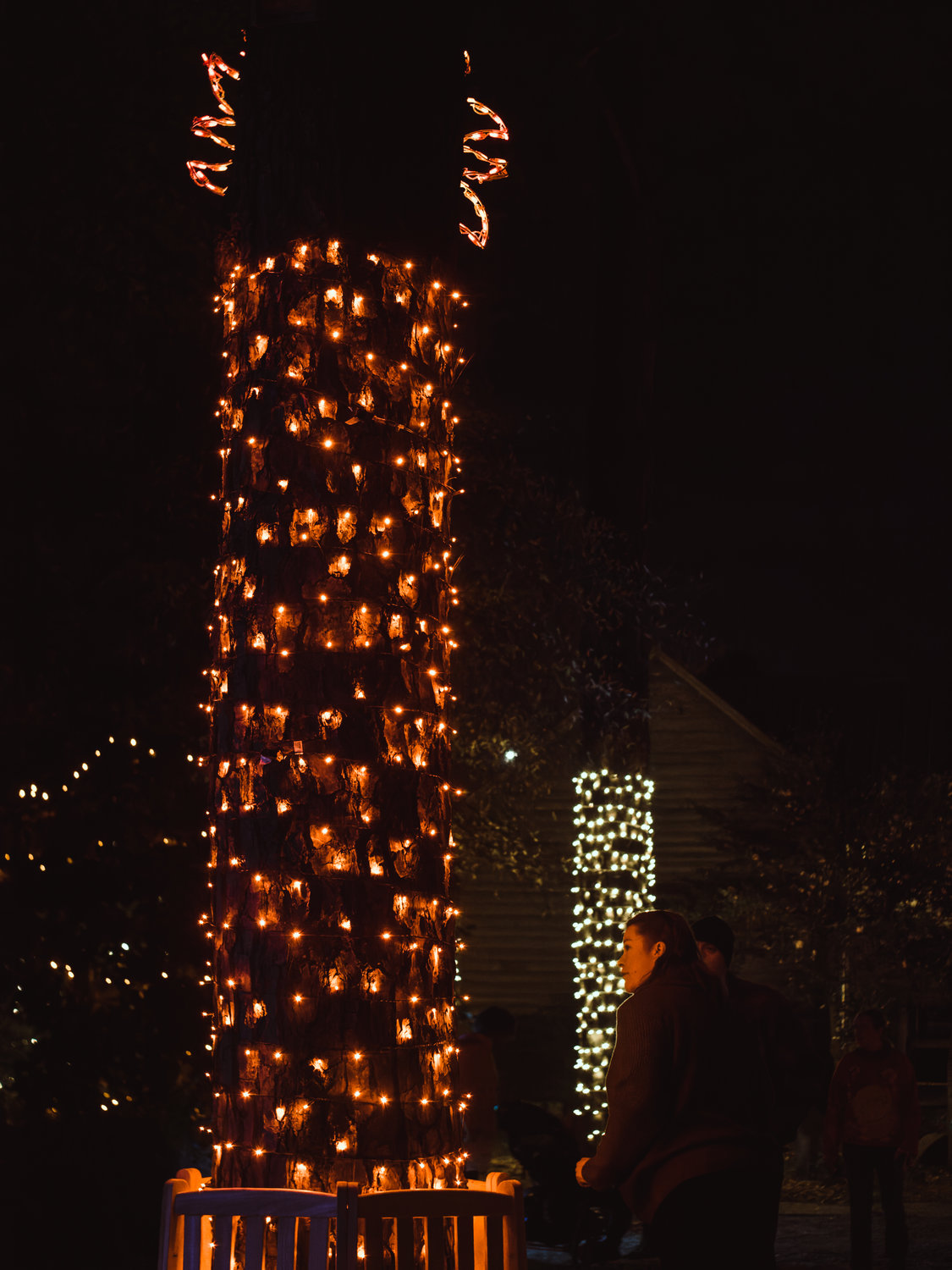 Cape Fear Botanical Garden presented its Holiday Lights in the Garden on select nights from Dec. 1-22.