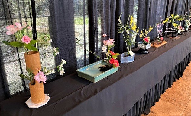The Fayetteville Camellia Club’s annual Camellia Show & Plant Sale returned to Cape Fear Botanical Garden on March 4-5 with a display of nearly 600 camellia blooms entered in competition.