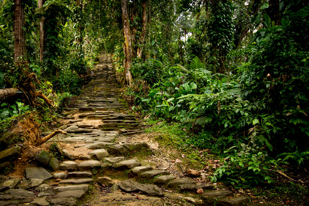 Stone steps lead up to the Lost City of Teyuna.