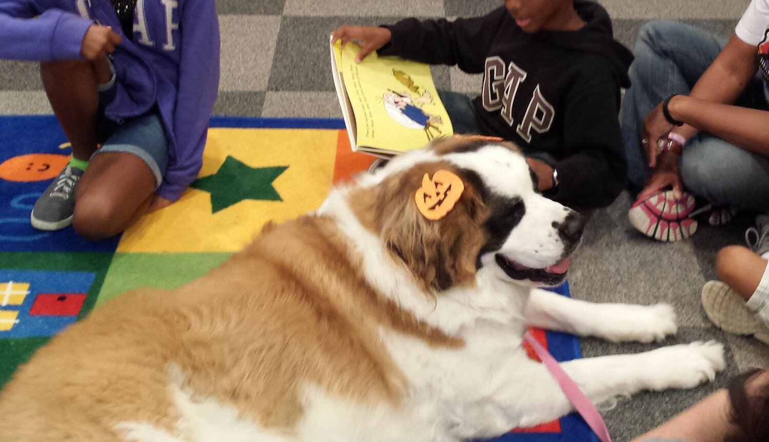 Schoolchildren read to Gracie the dog at a Cumberland County Public Library Paws for Reading program.