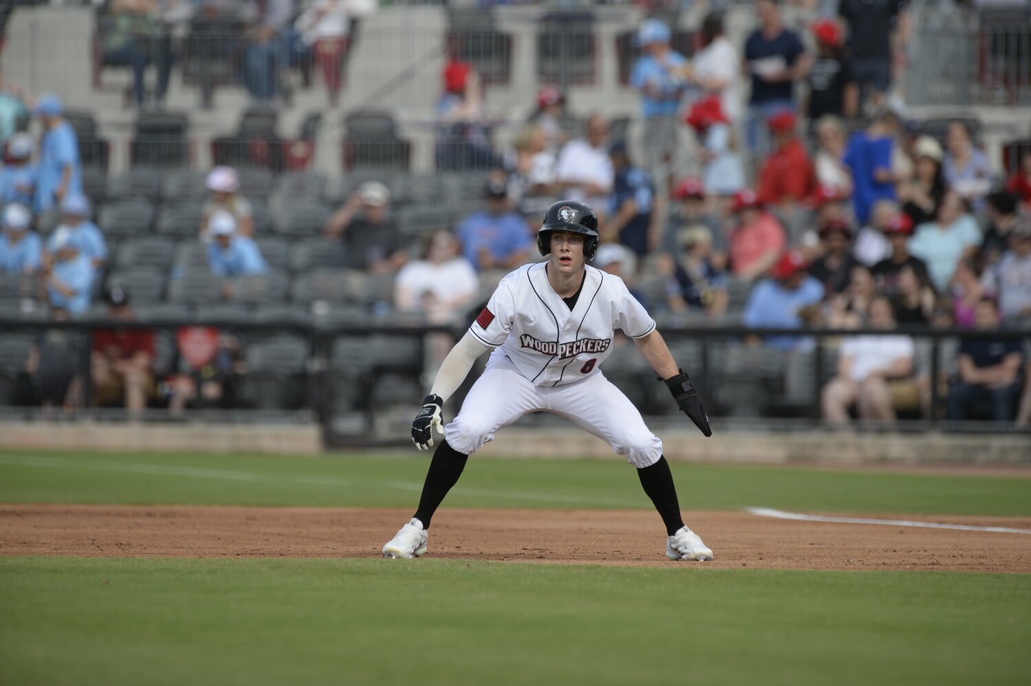 The Fayetteville Woodpeckers (21-32) bounced back in a big way on Wednesday at Five County Stadium as they won a pair of seven-inning  games against the Carolina Mudcats (30-21).
