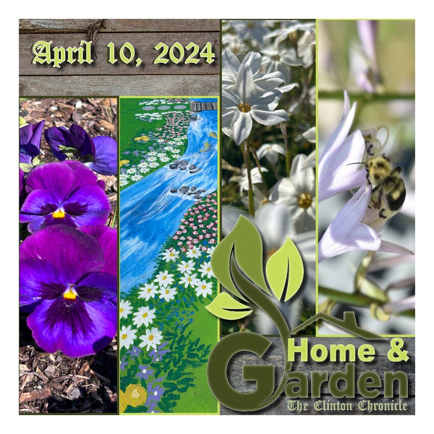 Home and Garden 2024
