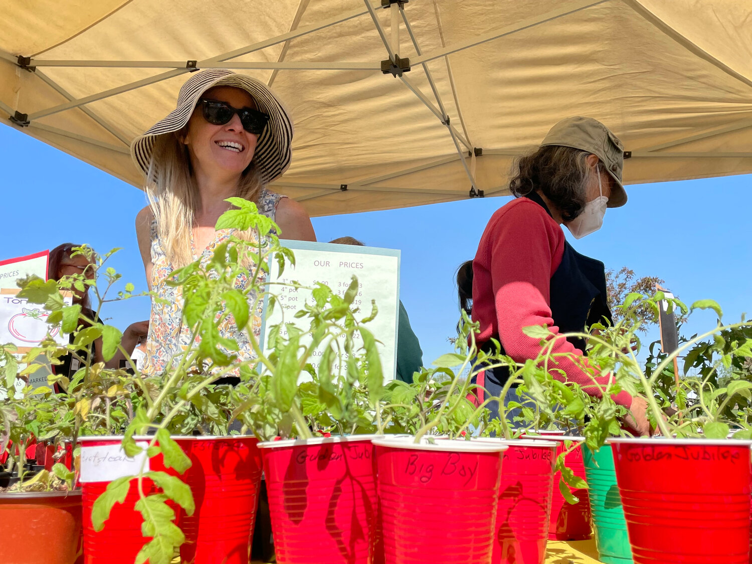 Stephani Dingreville, left, and Sue Bond, of the Sandoval County Extension Master Gardeners, sold a variety of plants at the opening day on the Corrales Growers' Market on April 30. (T.S. Last/Corrales Comment)