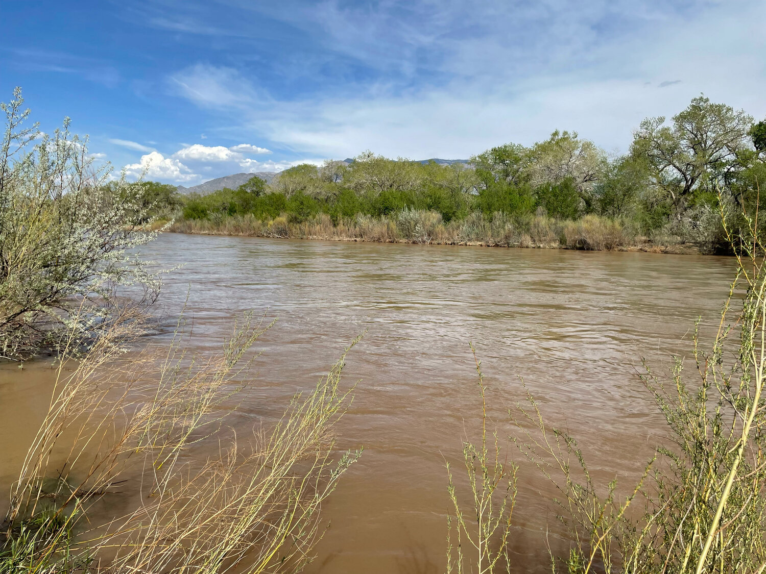 The Rio Grande, shown here as it flows by Corrales, is a lifeline for New Mexico farmers.