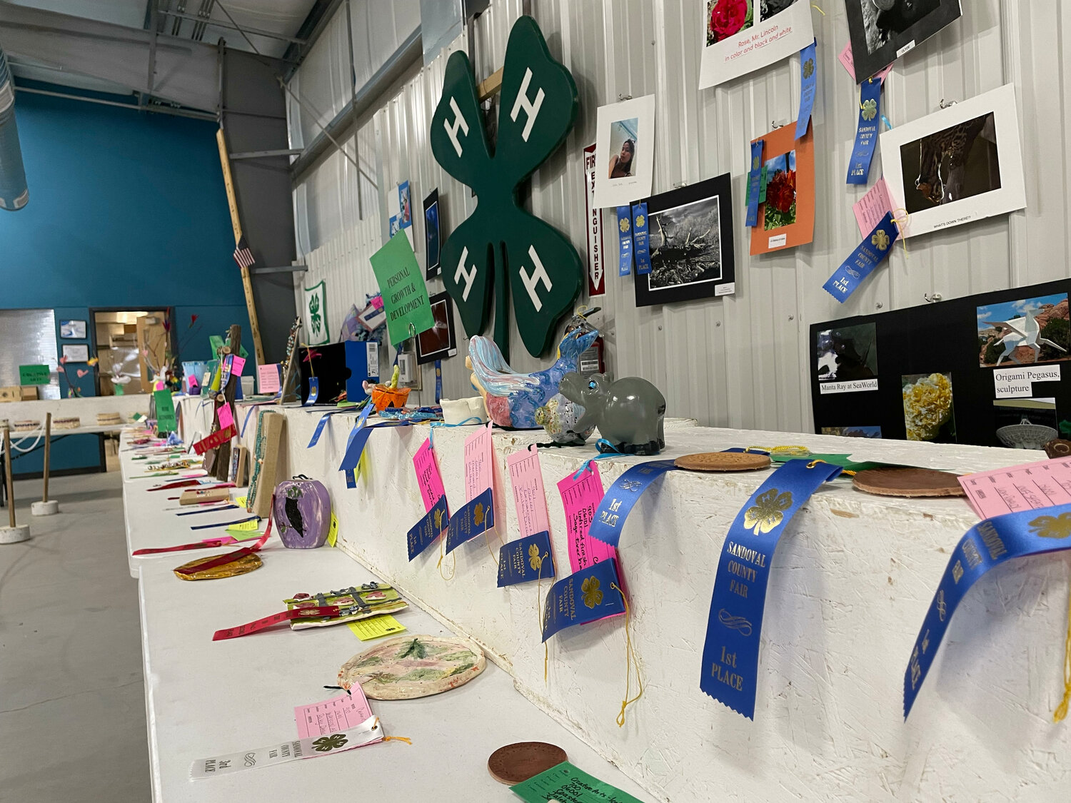 Winners of judged competitions for 4-H and FAA students were on display in the exhibit hall at the Sandoval County Fair.