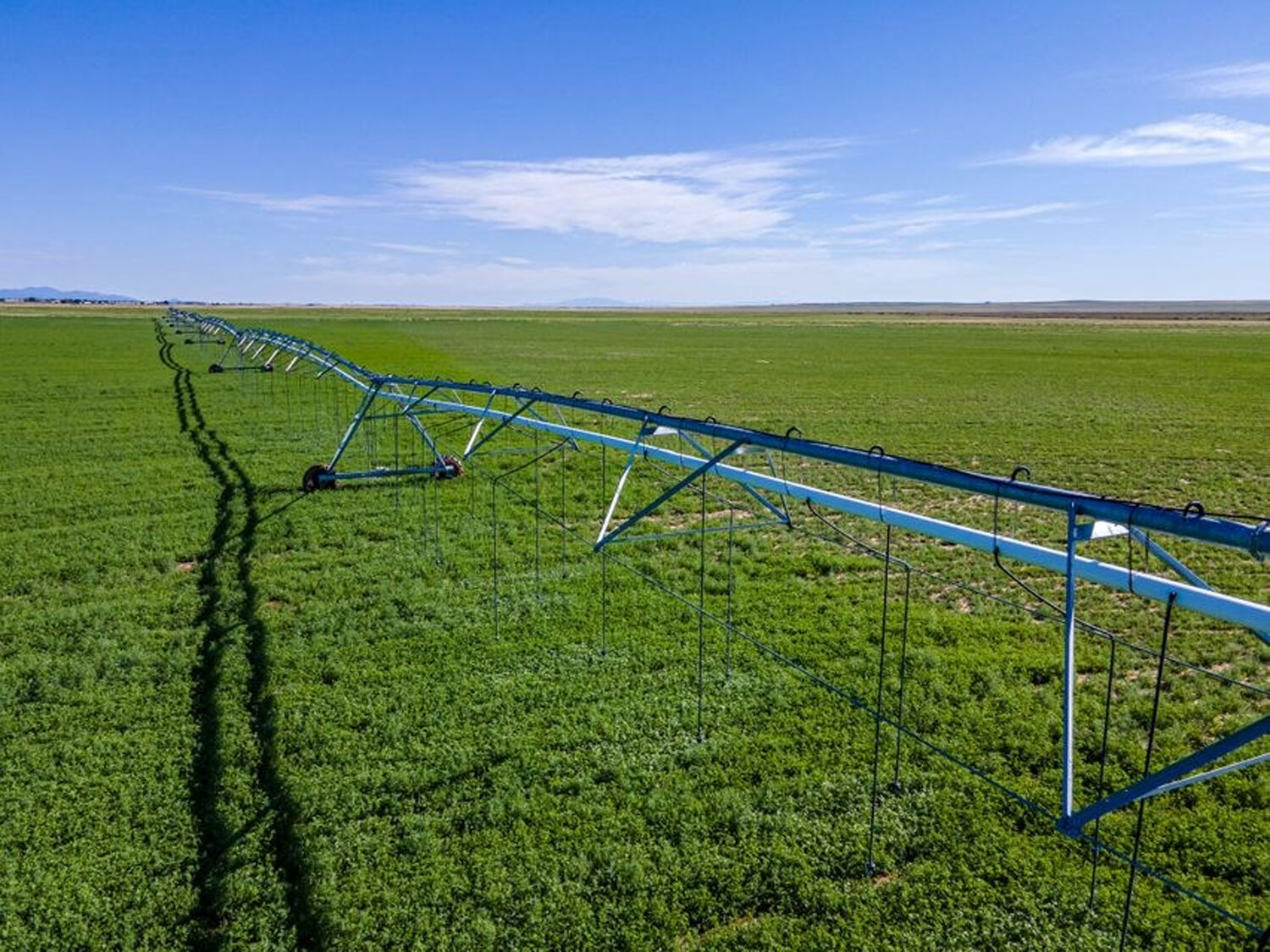 Food and Water Watch report shows 80% of New Mexico fresh water goes to agriculture.