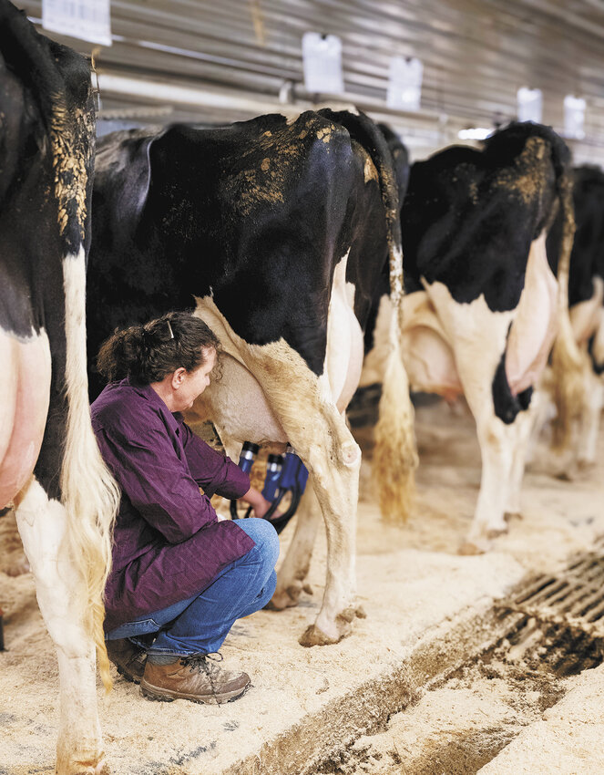 Doreen Laveau gives a milking demonstration June 29 during the breakfast on the farm event at the Laveau farm near Wrenshall, Minnesota. The Laveaus milk 52 cows.