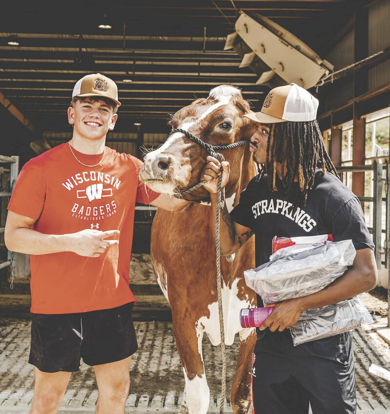 Drew Braam (left) and Omillio Agard, members of the University of Wisconsin-Madison football team, interact with a cow July 22 at the Haag farm near Mount Horeb, Wisconsin. The Haags set up stations around the farm to give the athletes an overview of dairy farming.