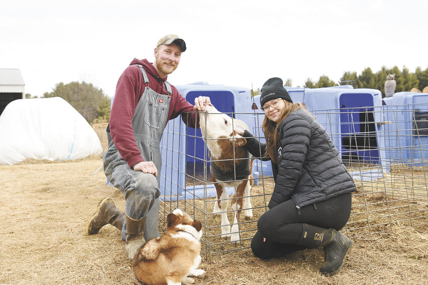Luke and Lis Wolfisberg kneel March 3 near one of their calves at Double L Dairy near Black River Falls, Wisconsin. The couple is milking 40 cows in a 9-stall step-up parlor.