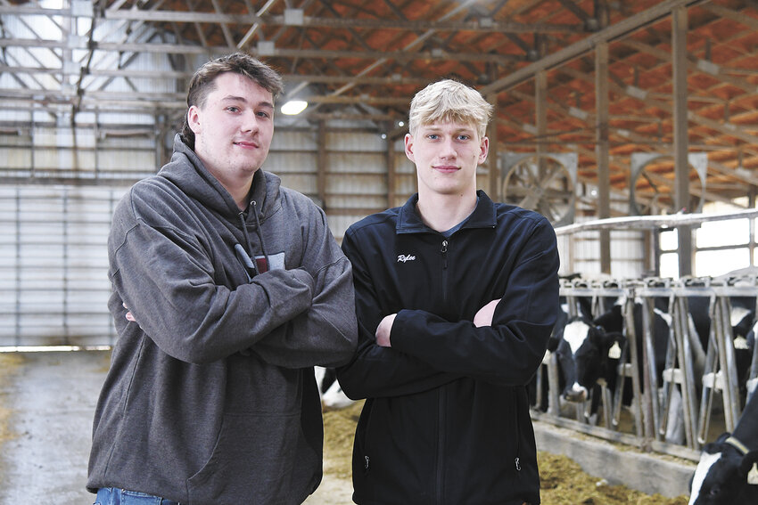 Connor Burgeson (left) and Rylee Fick stand in a freestall barn April 1 on Fick’s family’s farm near Lake City, Minnesota. Fick and Burgeson were centers for the Lake City basketball team that took second place at the Minnesota Class AA state tournament and are active on different dairy farms.