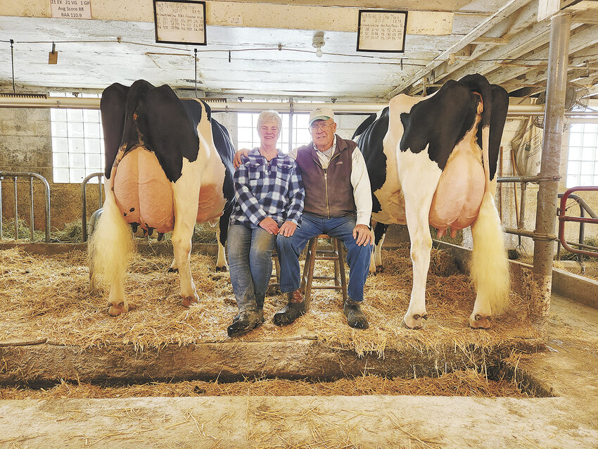 Mike and Marcy McCullough sit next to two Excellent cows, Rock-N-Hill G Chip Fran EX-91 (left) and Rock-N-Hill G Chip Marie EX-92, Jan. 6 on their farm near Juda, Wisconsin. The McCulloughs were named the Wisconsin Holstein Association’s 2023 Distinguished Holstein Breeder Feb. 24 at the association’s convention in New Glarus, Wisconsin.