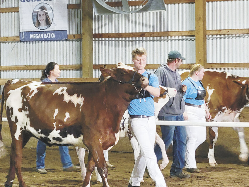 Joseph Achen (left) leads a Milking Shorthorn heifer out of the ring June 21 during the Central Minnesota Dairy Day Youth Show in Sauk Centre, Minnesota. The event has been taking place for 69 years.