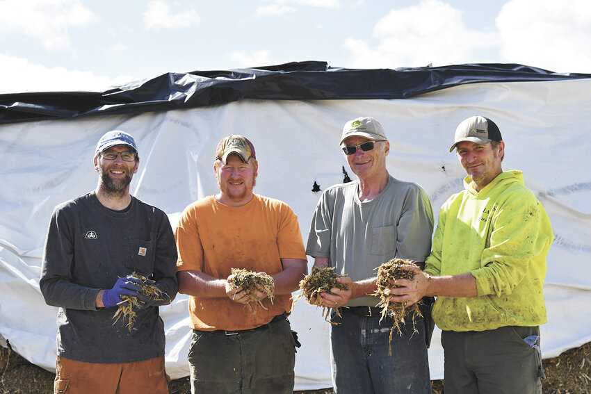 The Hoefs family — Jimmy (from left), Joel, Jim and Jason — hold up corn silage Sept. 6 at their farm near New Prague, Minnesota. The Hoefs family milks 250 cows.